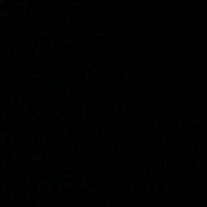 Meet your Posher, Isela